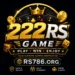 222RS Game